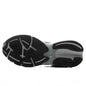 ABZORB 2010 Grey Days - Black/Silver Metallic