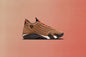 Air Jordan 14 Retro SE "Winterized" - Archaeo Brown/Multi