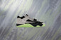 Air Jordan x Travis Scott x Chase B CJ1 T-Rexx - Black/Anthracite/Night Silver