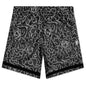 BB Cerebro Short - Black