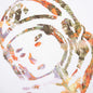 BB Scribbled S/S Tee - White