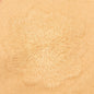 BB Starry Night Coat - Beige