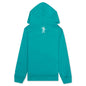 Kid's BB Script Hoodie - Blue Grass