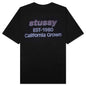 California Grown Pigment Dyed Tee - Black
