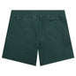 Chase Swim Trunks - Discovery Green/Gold