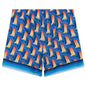 Arche De Nuit Technical Synthetic Shorts - Blue/Yellow
