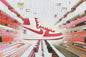 Comme des Garcons Homme Plus x Nike Terminator High SP - White/University Red