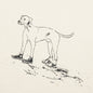 Converse x Bandulu Dog Tee - White/Asparagus