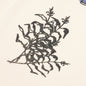 Spirits Sweatpants - Almond Oil