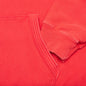 Feature x D-R-G-N Formula Hoodie - Farari Red