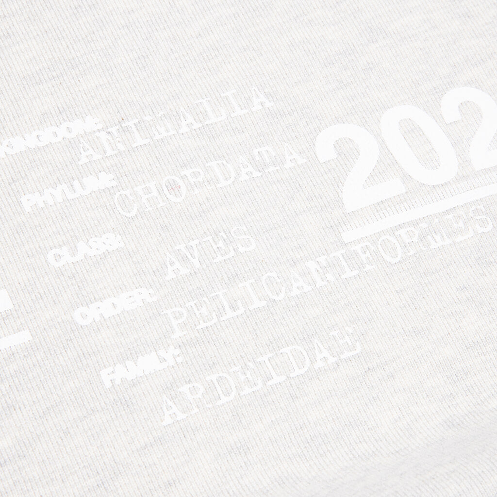 Heron Rainbow Crewneck - Grey Melange