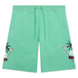 Authentic Falmouth Shorts - Light Green/Black