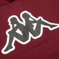 Logo Aiok Pullover Hoodie - Red Dahlia