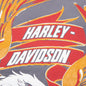 Harley Davidson Motorcycles - Washed Grey