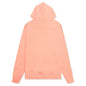 Sportswear Pullover French Terry Hoodie - Apricot Agate/Light Sienna