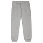 Sportswear Women’s Essentials Fleece Pants - Dark Grey Heather/Matte Silver