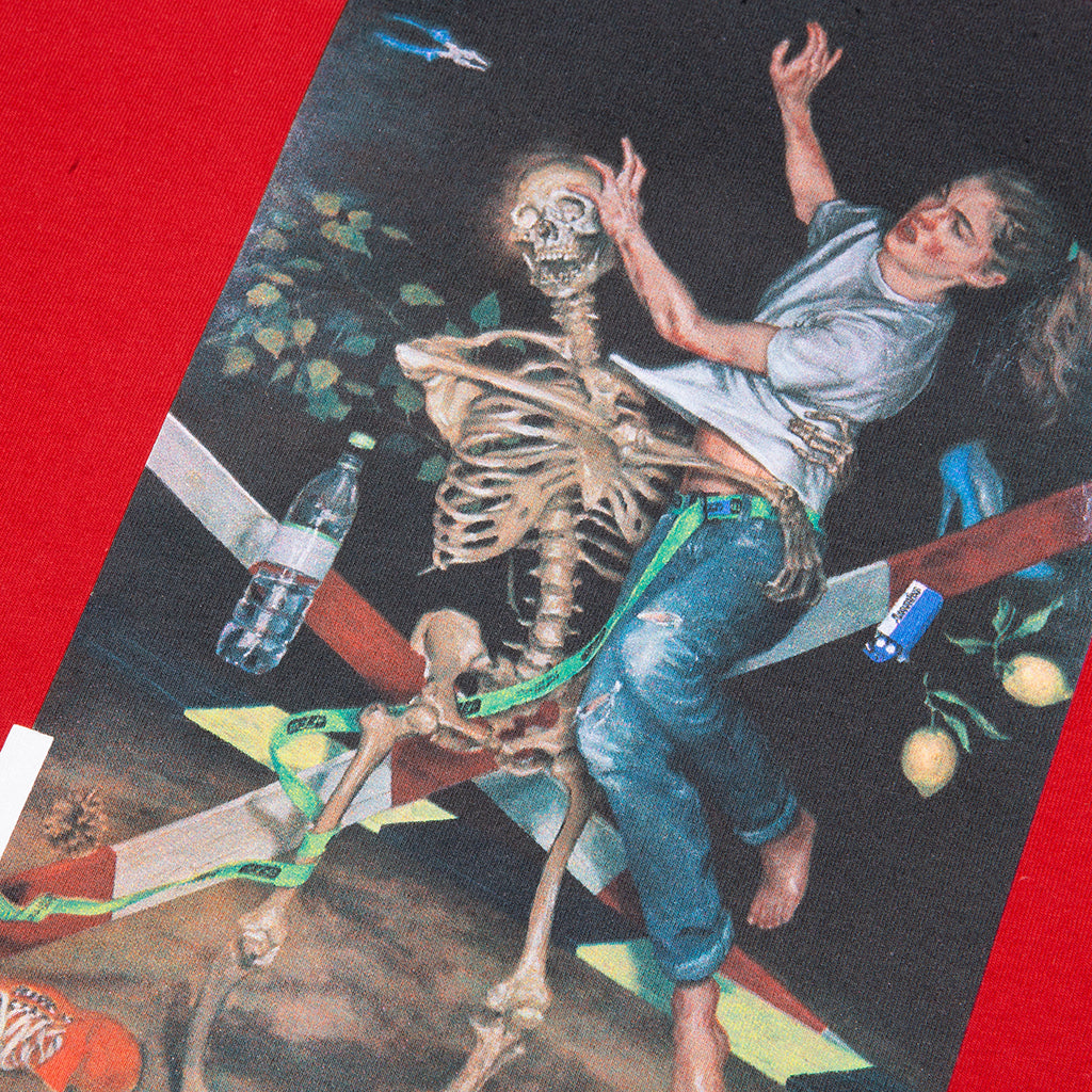 Pascal Print L/S Tee - Red/Light Blue