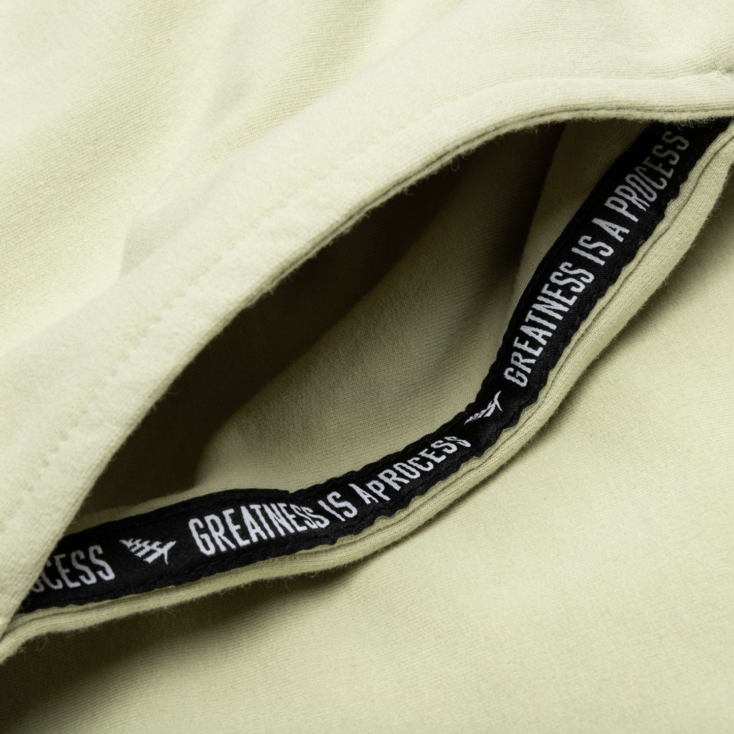 Garment Dyed Fleece Jogger - Sage