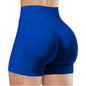 High Waisted Yoga Shorts Women Fitness Running Shorts