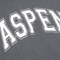 Haspen Hoodie - Steel Grey