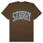 Stussy International Pigment Dyed Tee - Brown