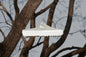 Vans Vault x Museum of Peace & Quiet OG Mule LX - Tuffet/Marshmallow