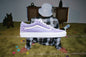 Vans x Anderson.Paak Old Skool - Soulito