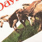 Wild Horses Crewneck - Bone