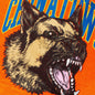 Chinatown Beware Sweatshort - Orange