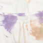 Crimson Shorts - Balboa Ink Bloom